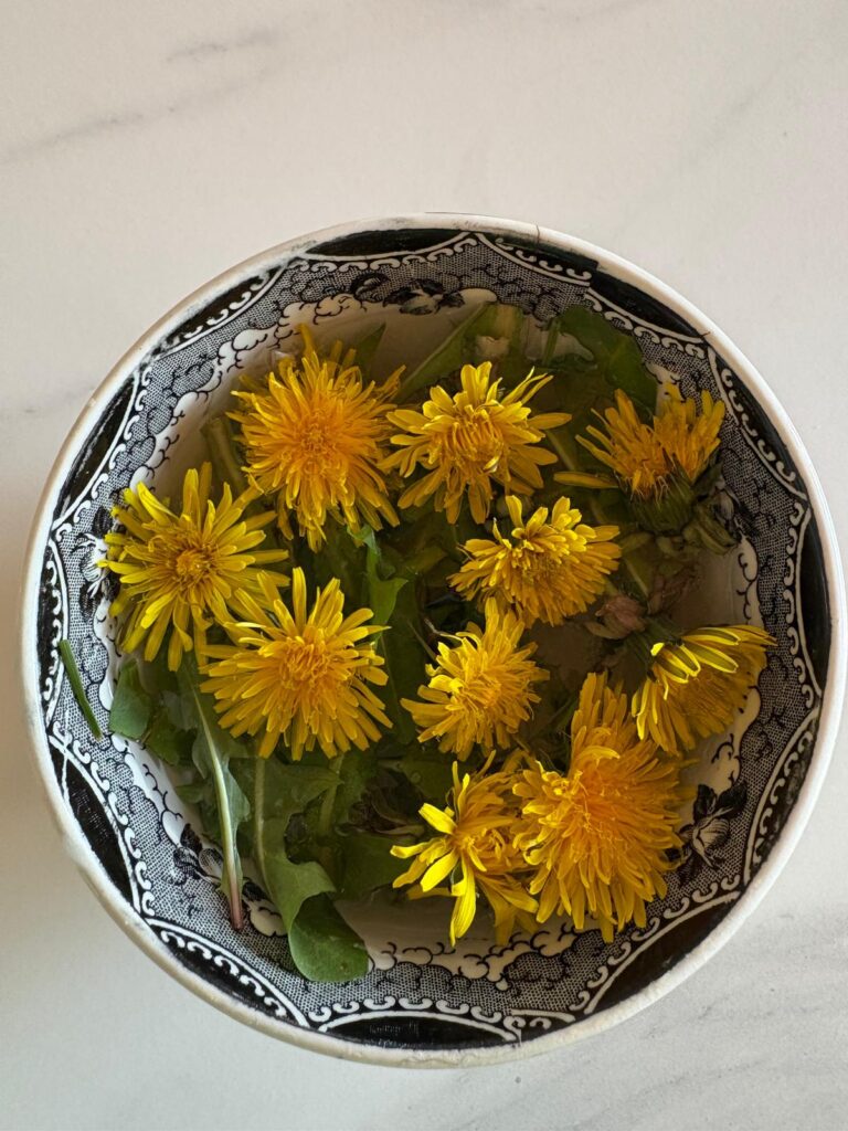 benedetta zara website pic17 tarassaco